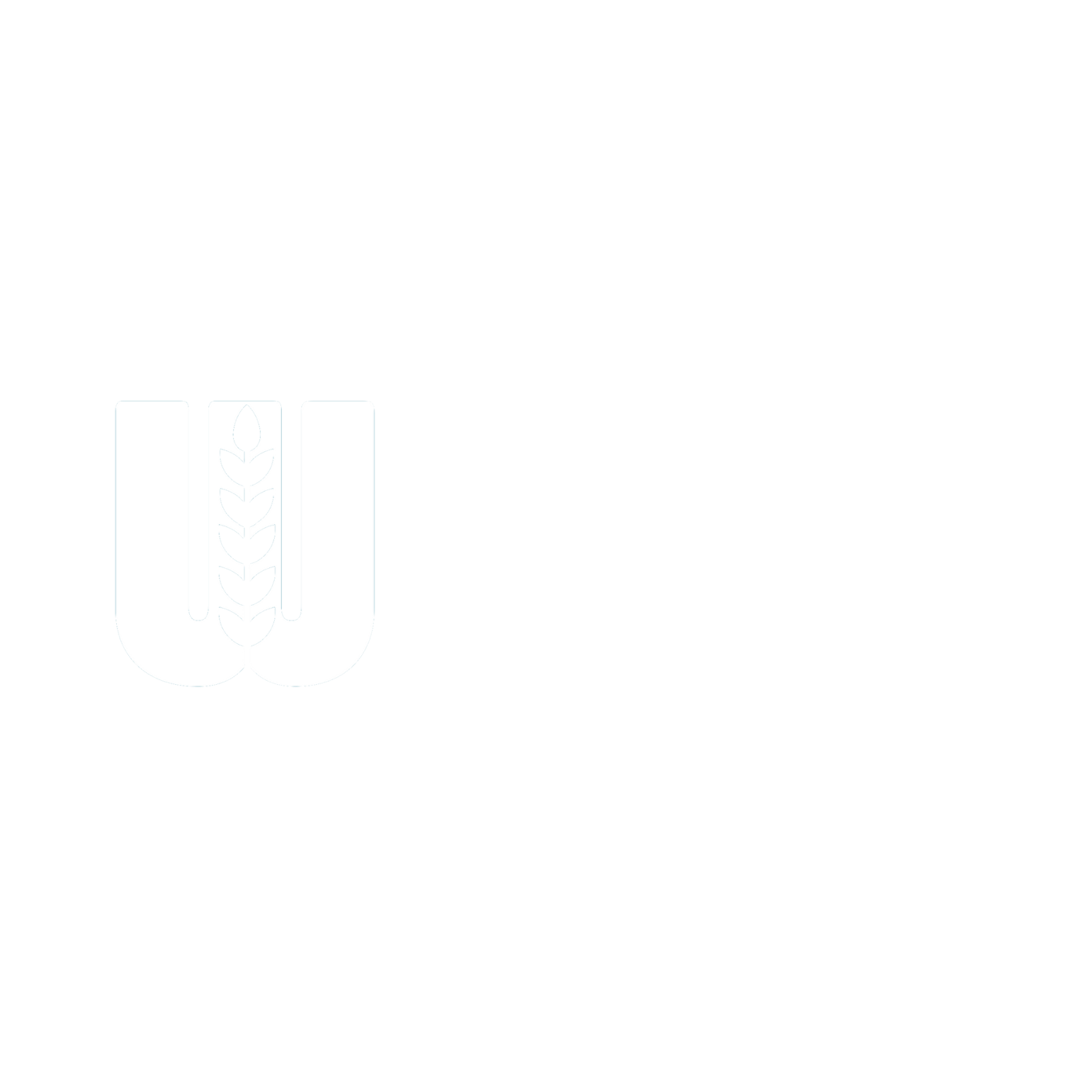 Weight Loss, Medical Clinic, Pocatello Wellness Clinic